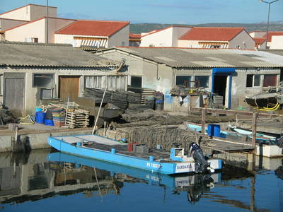 Photo de l'actuel centre ostréicole de Leucate